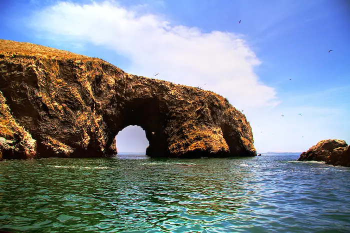 Islas Ballestas La “Galápagos Peruana” a Bajo Costo