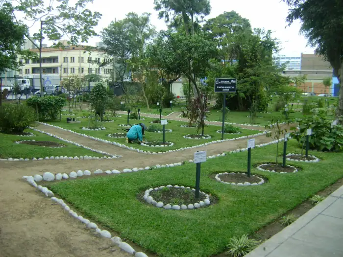 Jardín Botánico de Plantas Medicinales Naturaleza y Aprendizaje