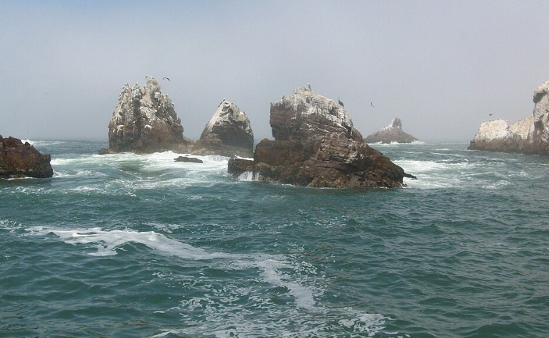 Islas Palomino