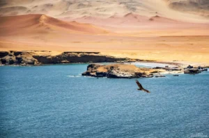 Qué hacer en Paracas las mejores actividades, lugares y experiencias imperdibles