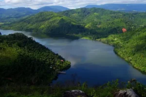 Que hacer en Tarapoto y cómo disfrutar tu viaje