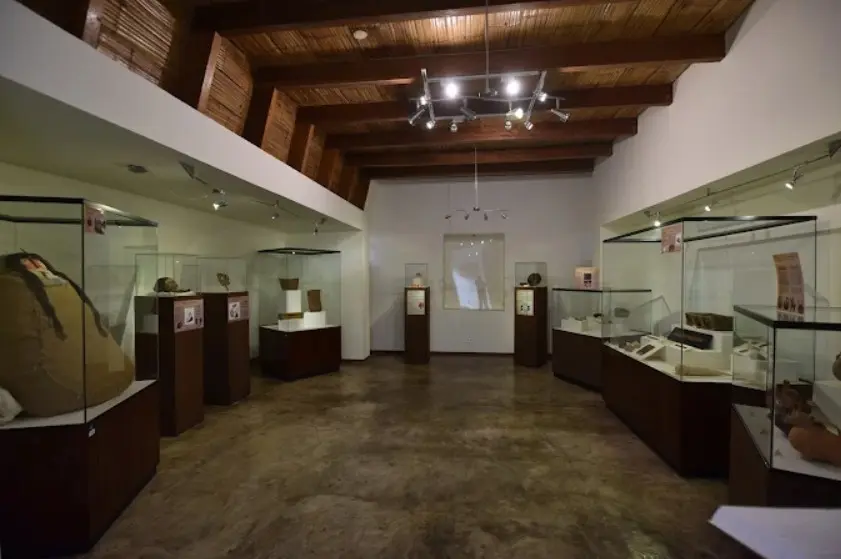 que cosas muestra el museo